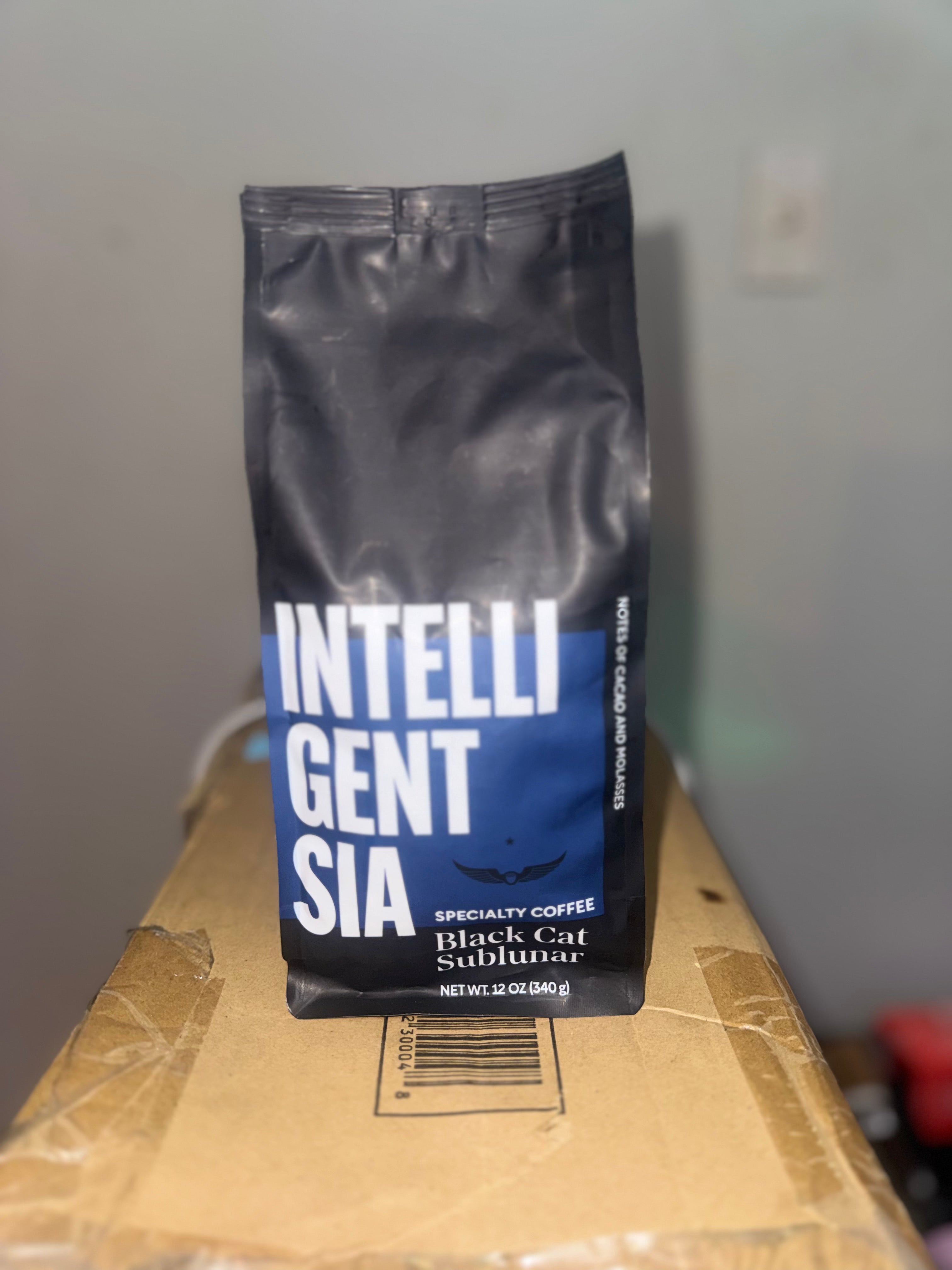 Intelligentsia