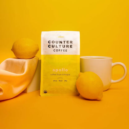 Counter Culture Apollo Whole Bean Medium Roast Coffee -12oz