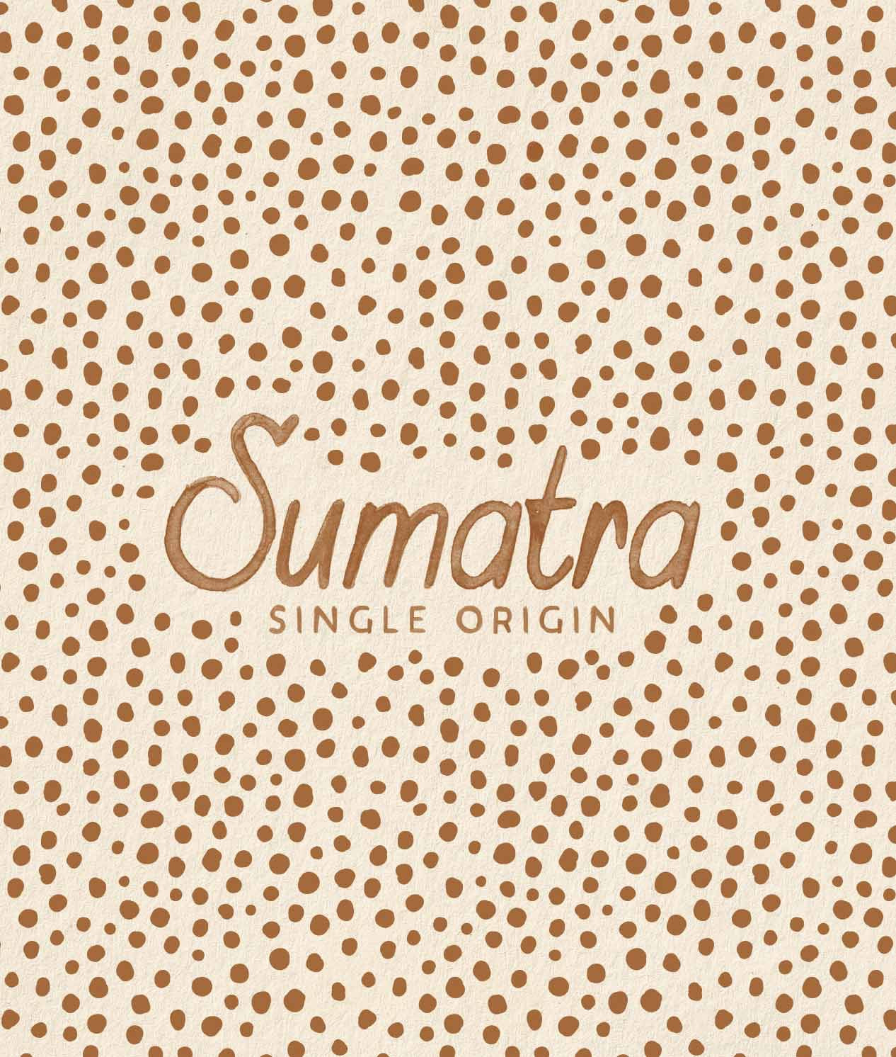 Single Origin Sumatra Dark Roast Ground Coffee - 10.5oz Bag